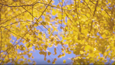 审慎对待 理性求美一一医美公益广告短视频