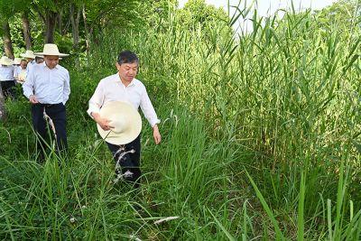 生态环境部部长黄润秋赴湖北武汉调研生态环境保护工作