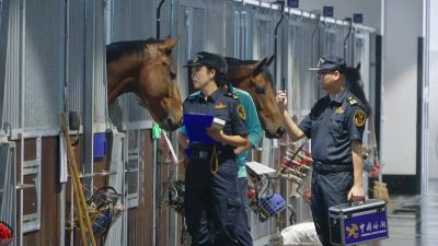 广州海关助力粤港澳大湾区马产业健康发展（图）