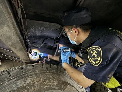 昆明海关高压打击毒品走私 全力筑牢国门安全防线（图）